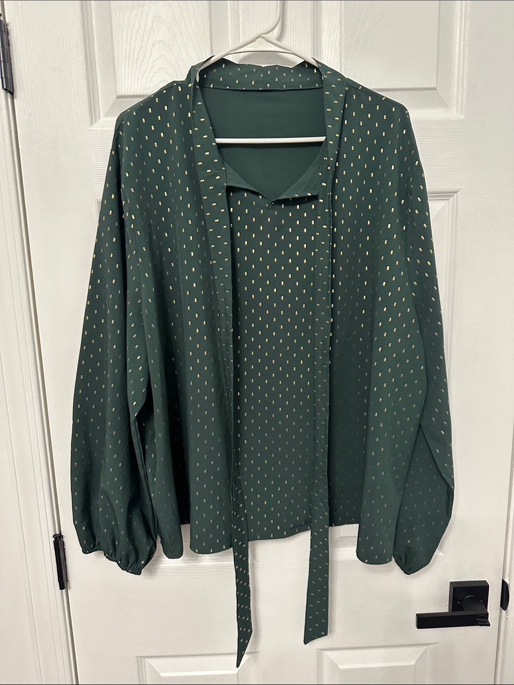 Green Long-Sleeve Tie-Neck Blouse